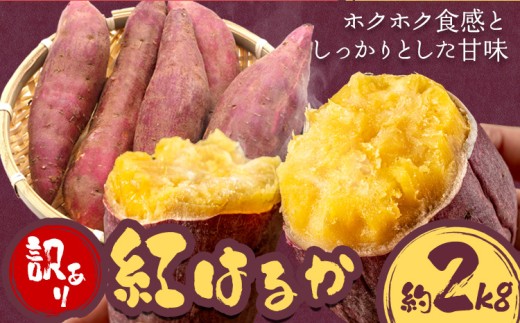 さつまいも【先行予約】訳あり さつまいも 紅はるか 約2kg 株式会社シグマサポート《2026年10月中旬-12月中旬頃出荷予定(土日祝除く)》送料無料 サツマイモ 三重県 東員町 お菓子 おやつ 紅はるか やきいも さつまいも 手軽
