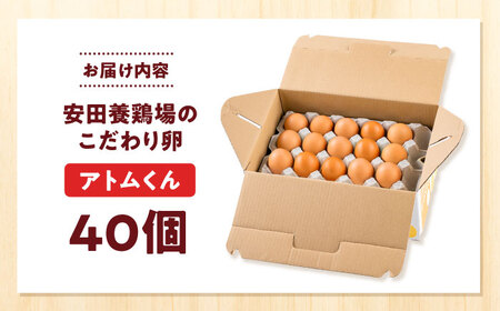 安田養鶏場の卵 アトムくん 40個入り 横須賀市 産地直送 たまご 黄身 濃厚 卵 玉子 タマゴ 鶏卵  【安田養鶏場】[AKHN003]