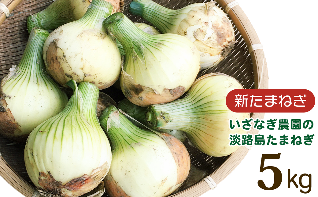 【新たまねぎ】いざなぎ農園の淡路島たまねぎ【発送時期20