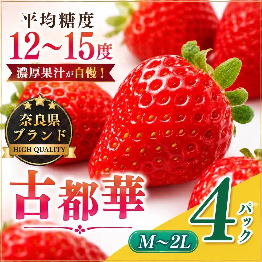 平群 の 古都華 サイズ おまかせ （ M ～ 2L サイズ） 2ケース （ 4パック ）| フルーツ いちご 古都華 先行予約 奈良県 平群町