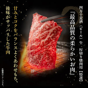 四万十麦酒牛 厚切り特選焼き肉セット（500g）  モモ ウデ バラ肉 肩ロース 詰め合わせ 霜降り 赤身 焼き肉 麦酒牛 冷凍 ／Asz-07