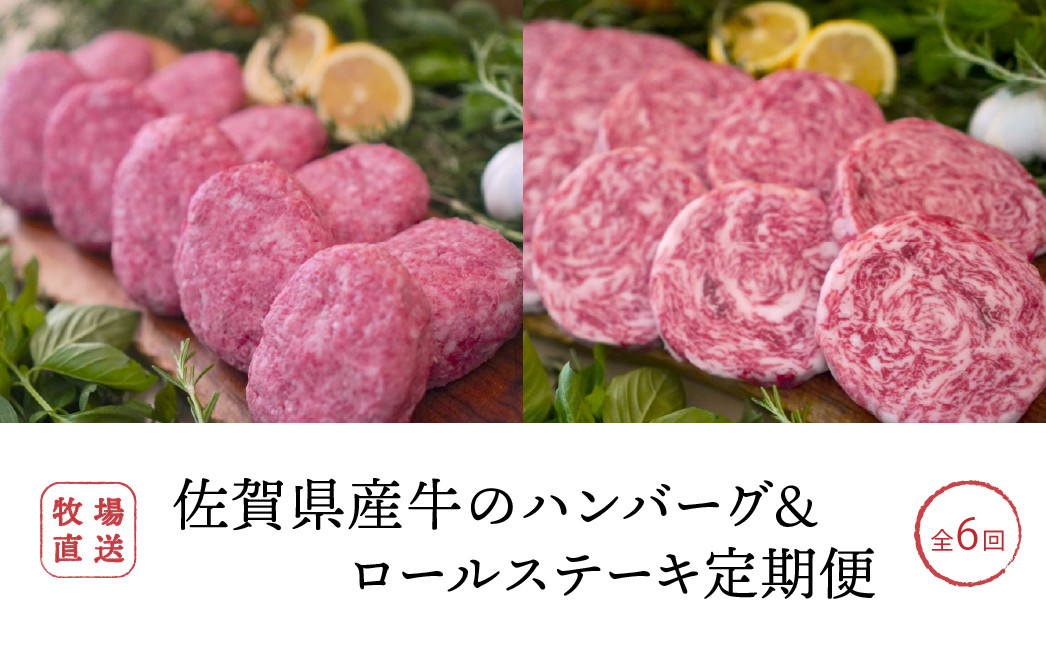 
            【定期便セット】全6回 佐賀県産牛のハンバーグ10個/ミルフィーユロールステーキ10個 総重量6,300g TOMMY BEEF
          