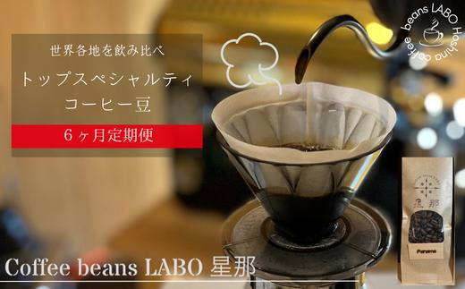 【定期便6ヶ月】世界各地をのみくらべ トップスペシャルティコーヒー豆 定期便 粉