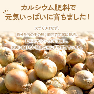 【予約：2024年9月中旬から順次発送】農家直送 村中さんちの玉ねぎ 5kg混玉 M～2Lサイズ ( タマネギ たまねぎ 玉葱 野菜 北海道産 詰合せ )【095-0020】