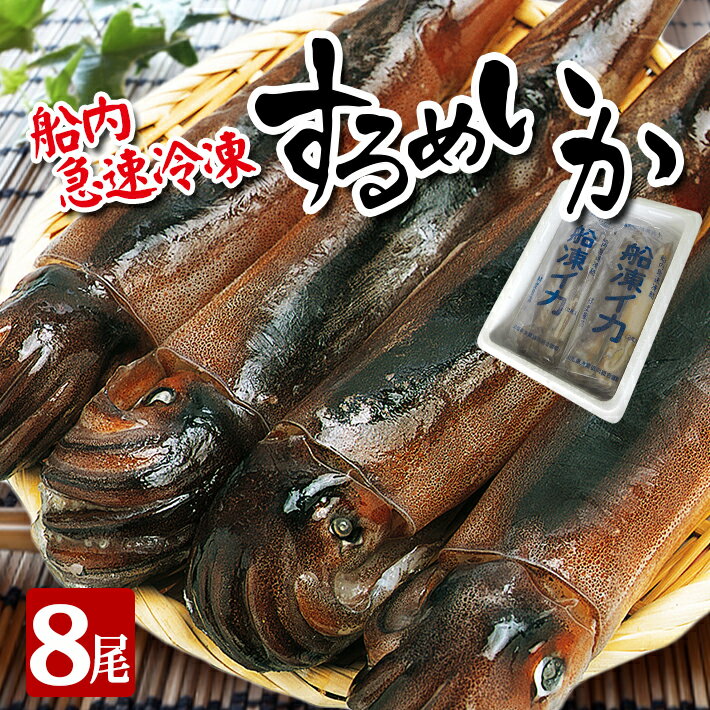 【ふるさと納税】船内急速冷凍するめいか 2尾×4袋 計8尾 冷凍便 ※離島発送不可 いか イカ 海鮮 海の幸 小分け 旬 春 夏 秋 冬 初夏 新鮮 鮮度抜群 刺身 塩辛 フライ 煮物 姿焼き げそ ゲソ 船凍イカ