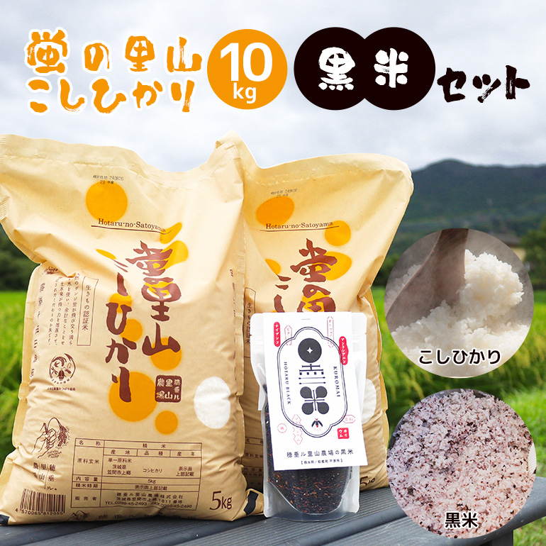 令和7年度 新米 極上ランク 蛍の里のこしひかり 白米10kg(5kg×2袋) 黒米300g セット コシヒカリ 米 こしひかり 精米 ブランド米 お米 白米 10kg 黒米 300g 国産 贈答 ギフト おにぎり 弁当 R7年産 ごはん おいしい 旨い ふっくら お米 茨城県 笠間市 いばらき BF-010