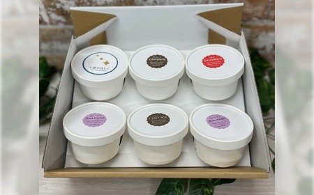 まるでアイスのようなロースイーツ 4種 6個セット チョコレート ラムレーズン チョコミント ストロベリー ロースイーツ 冷凍 記念日 お祝い クリスマス ナチュラル ヘルシー ヴィーガン スイーツ 