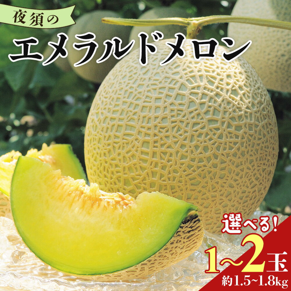 【ふるさと納税】夜須のエメラルドメロン 1玉/2玉 - テレビ朝日「ザワつく!金曜日」で特集 紹介 果物 くだもの フルーツ めろん 青肉 贈答用 ご褒美 高級 お礼 お祝い 御祝 ギフト 産地直送 高知県 香南市 レビューキャンペーン実施中 ゆずあんぱん風おまんじゅうをお届け
