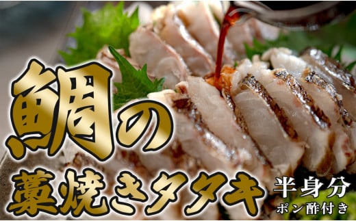 鯛の藁焼きタタキ 半身分 230g以上｜冷凍便 藁焼き 真鯛 鯛 タイ わら焼き カツオ 鰹 カツオのたたき 鰹のたたき 真空包装 無添加ぽん酢付き 朝水揚げ 鮮度抜群 お届け日指定可 刺身 魚介 個包装 鯛茶漬け ギフト 贈答 高知県 大月町