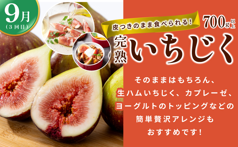【定期便】泉州TONOファームが贈る定期便 野菜とフルーツの旬の味リレー【7月～10月発送 水ナス トウモロコシ 枝豆 いちじく 茄子 とうもろこし 豆 イチジク なす 新鮮 泉州 やさい フルーツ】