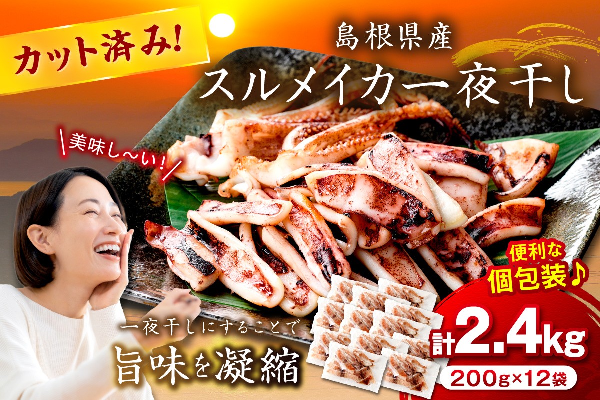 
                  島根県産スルメイカ一夜干しカット済計2.4kg（小分け200g×12袋） 小分け 干物 一夜干し イカ 魚介類 スルメイカ【005_2062】
                