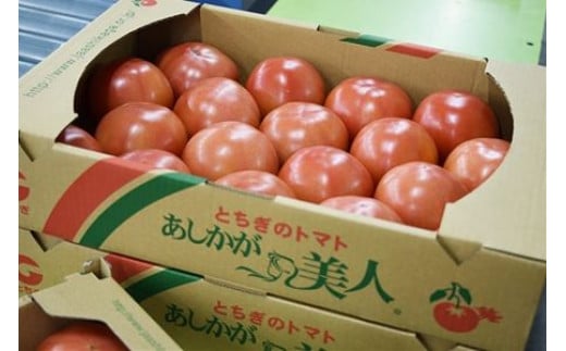 太陽の恵みを受けて育った あしかが美人トマト４ｋｇ F7Z-250