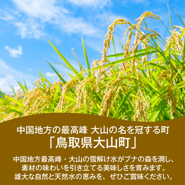 大山町産こしひかり【大山の一粒】10ｋｇ（玄米）