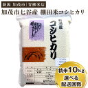 【ふるさと納税】【令和6年産新米】 新潟産コシヒカリ 加茂市七谷産 棚田米 精米10kg（5kg×2）選べる配送回数（1回通常配送～定期便12回）白米 真空パック 青柳米店