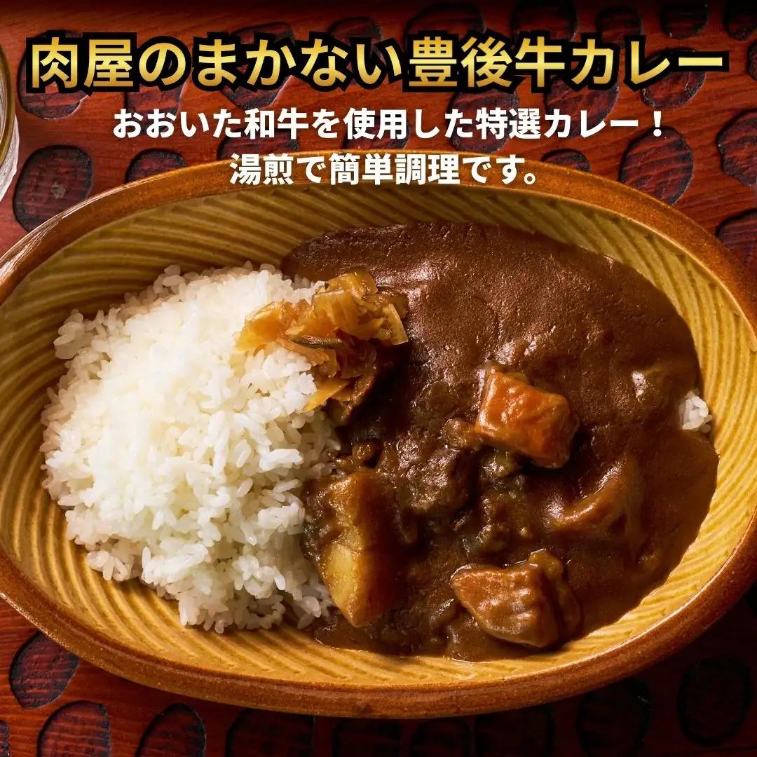 肉屋のまかない豊後牛レトルトカレー 230g×10袋 | 豊後高田市 レトルトカレー