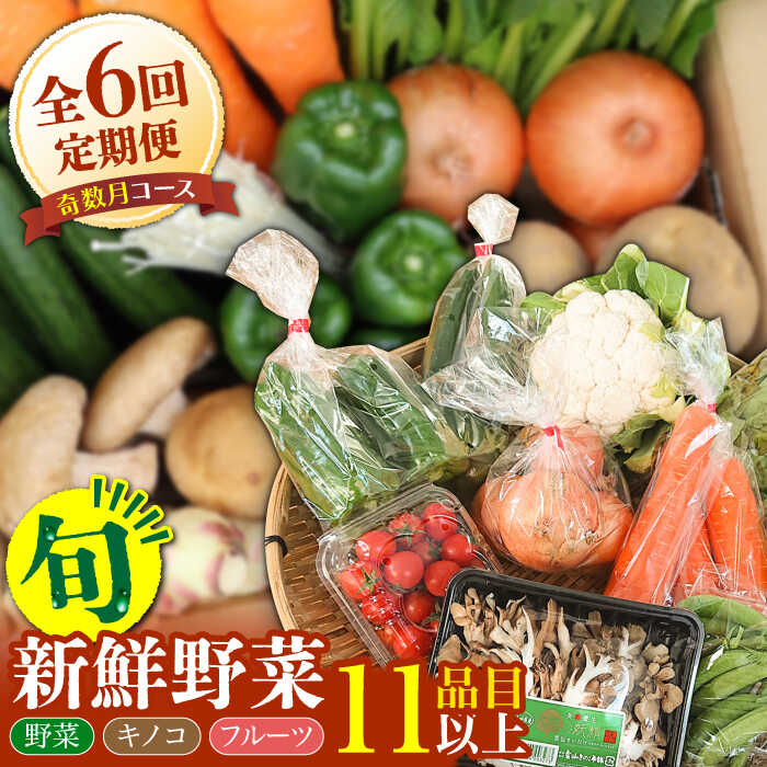 【ふるさと納税】【6回定期便 奇数月コース】野菜 キノコ 果物 11品目 詰め合わせ / 野菜 春野菜 夏野菜 秋野菜 冬野菜 きのこ 旬 定期便 / 南島原市 / 吉岡青果 [SCZ005]