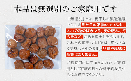 梅 ご家庭用 紀州南高梅 梅干し(はちみつ)　220g×1袋