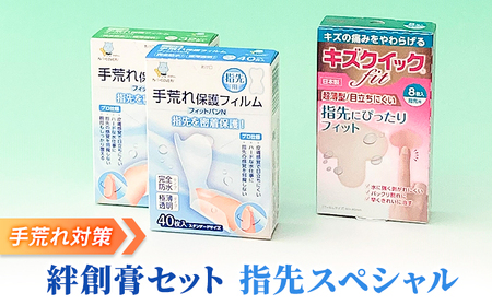 ばんそうこう セット 3種計80枚 手荒れ対策 指先スペシャル 絆創膏 備蓄 防災 備蓄品 生活雑貨 消耗品 防災グッズ 救急 衛生用品 備蓄品 日用雑貨 にちようひん 救急用品 びちくひん 防災グッズ 日用 救急箱 ぼうさい ぼうさいぐっず 防災 日用品  プロ仕様 びちく 備蓄 人気 おすすめ 1万円以下 一万円以下 bitiku bousai 滋賀県 日野町 東洋化学