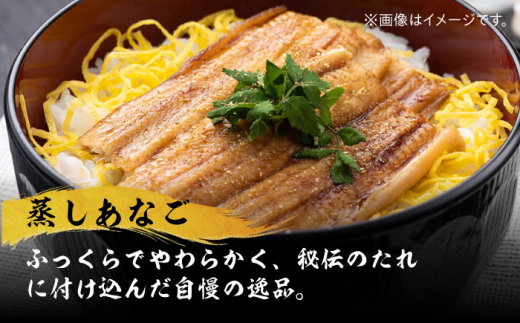【全6回定期便】対馬産 べっぴん あなご 詰め合わせ 《 対馬市 》【 桐谷商店 】 対馬 新鮮 穴子 刺身 海産物 魚介 [WAQ005]