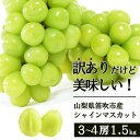 【ふるさと納税】＜2025年先行予約＞ 訳あり シャインマスカット1.5kg ふるさと納税 おすすめ シャインマスカット 笛吹市 国産 人気 期間限定 ぶどう ブドウ 葡萄 旬 果物 フルーツ 山梨県 154-044