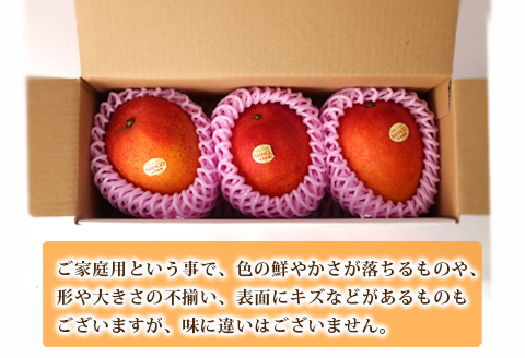 【2024年8月上旬発送開始】 徳之島 天城町産 宝果樹園 完熟マンゴー ご家庭用 1kg