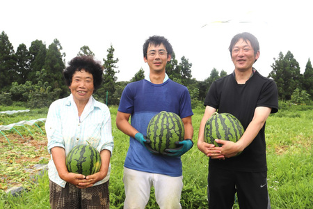 【期間限定】上棚 すいか 2玉 [米吉農園 石川県 志賀町 BA4119] スイカ 西瓜 果物 フルーツ 野菜