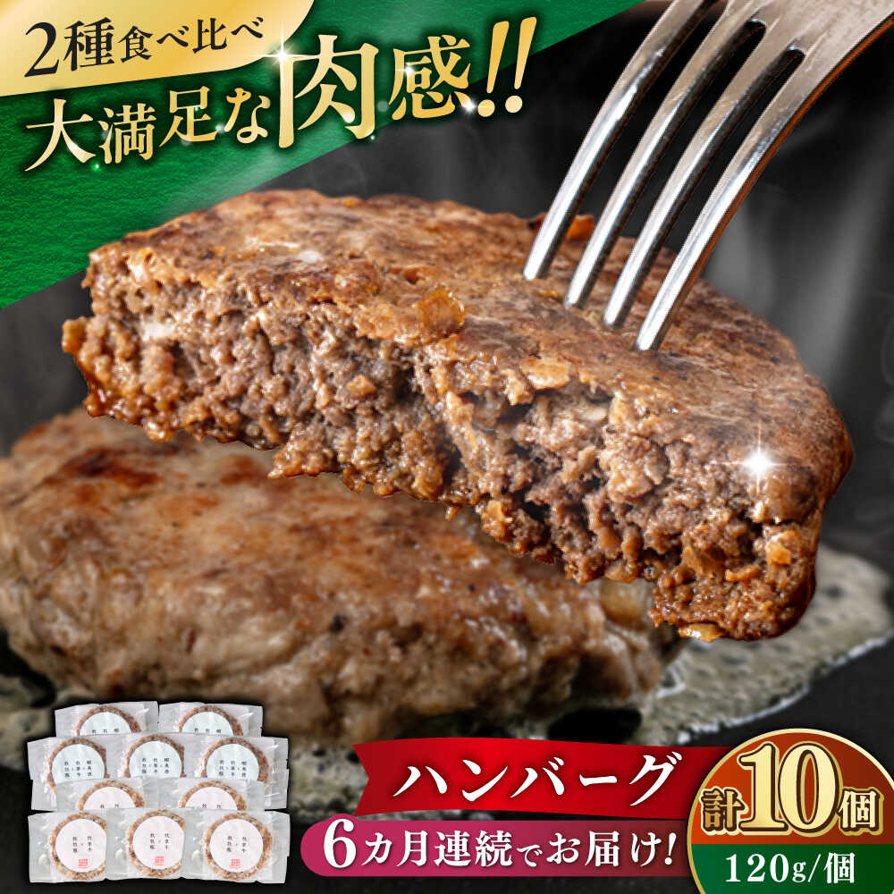 【ふるさと納税】【全6回定期便】ハンバーグ 食べ比べ 10個セット（蝦夷鹿/牧草牛/放牧豚）《厚真町》【GOODGOOD株式会社】 ハンバーグ 鹿肉 牛肉 豚肉 セット 食べ比べ 小分け 冷凍配送 北海道[AXBP048]