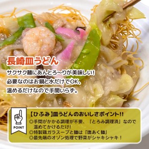 【D1-001】長崎伝統の味　ひふみの長崎皿うどん10個セット