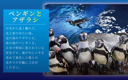 チケット 神奈川 【新江ノ島水族館】前売入場券（大人1枚、幼児1枚）有効期間2025年1月1日～6ヵ月間 水族館 前売 入場券 江ノ島 藤沢市 神奈川県 プレゼント ギフト