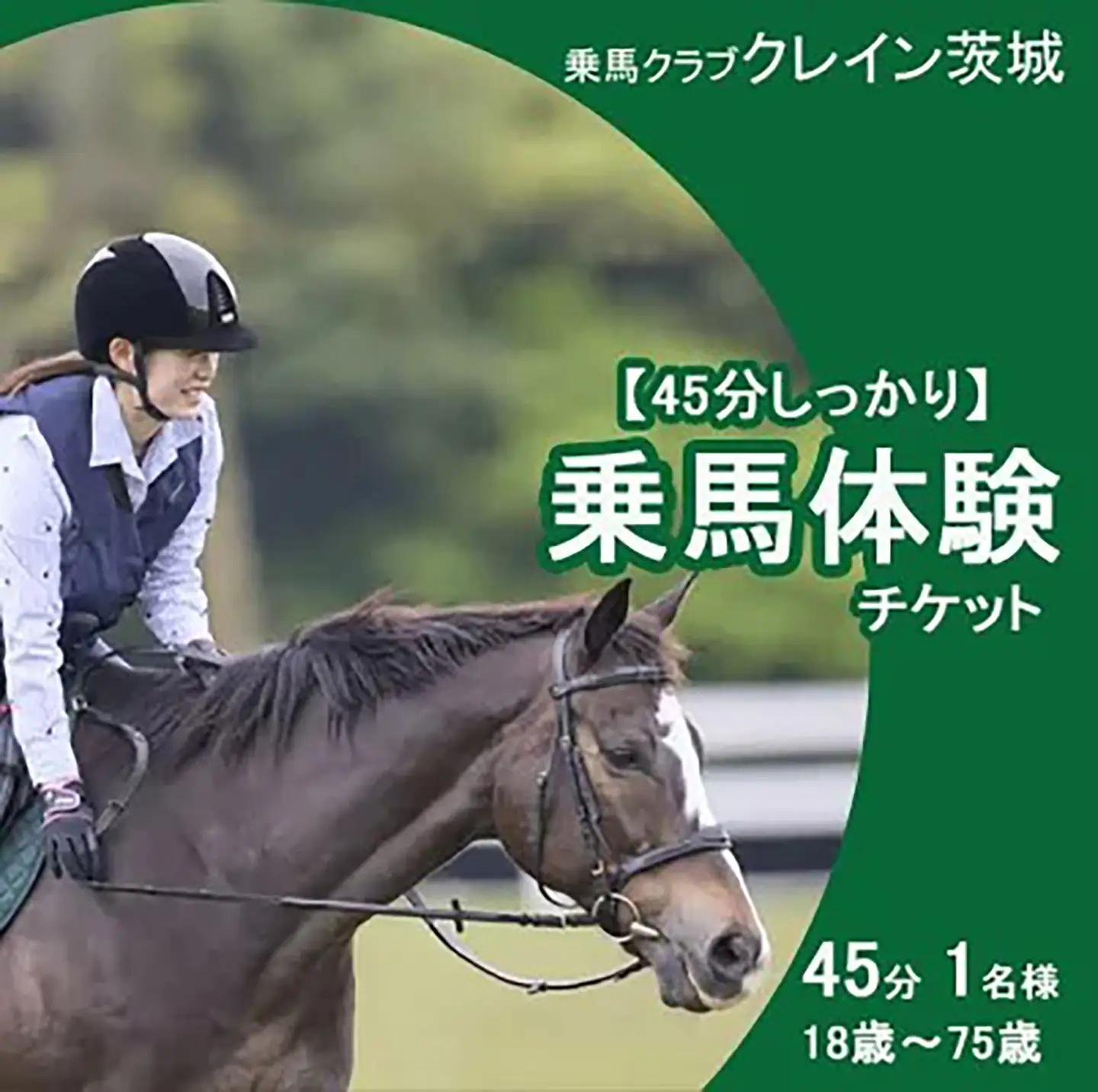 乗馬クラブクレイン茨城 45分しっかり 乗馬体験チケット