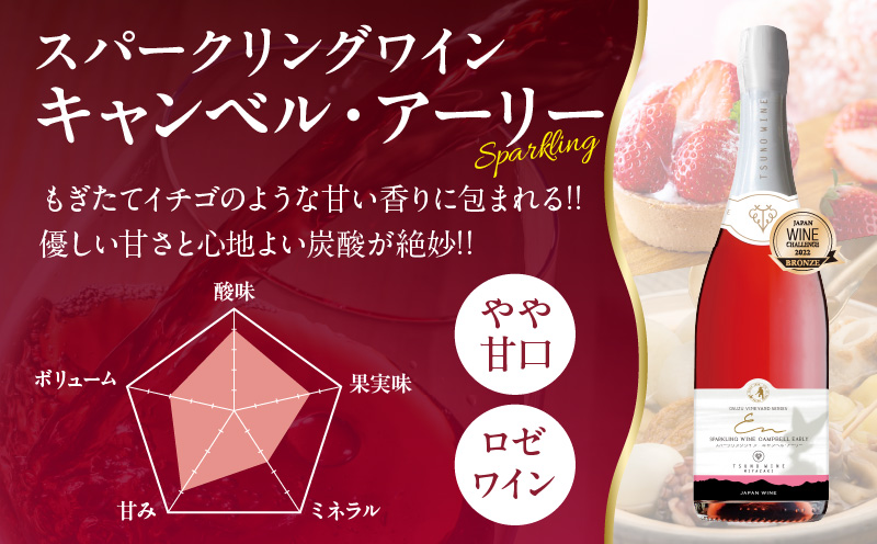 都農ワインセレクトセット(合計3本) 酒 飲料 アルコール 国産_T014-001