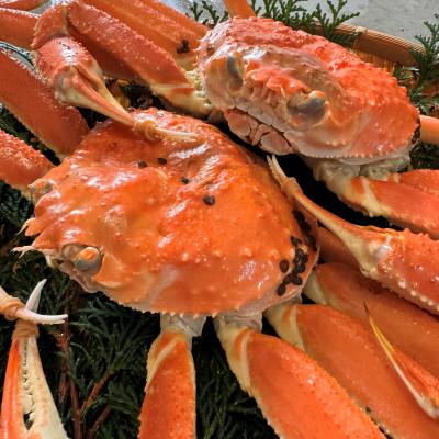 ふるさと納税 岩美町 鳥取網代港【訳あり】浜茹で!松葉ガニ1kgセット【さかなや新鮮組】 |  | 01