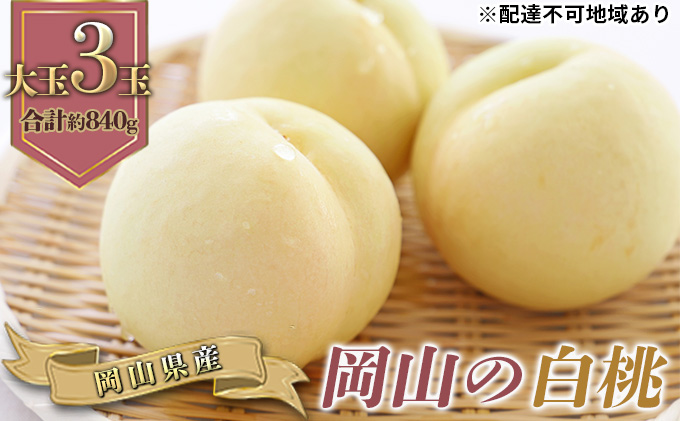 桃 2027年 先行予約 岡山の 白桃 大玉3玉 早生種 合計約840g もも モモ 岡山県産 国産 フルーツ 果物 ギフト