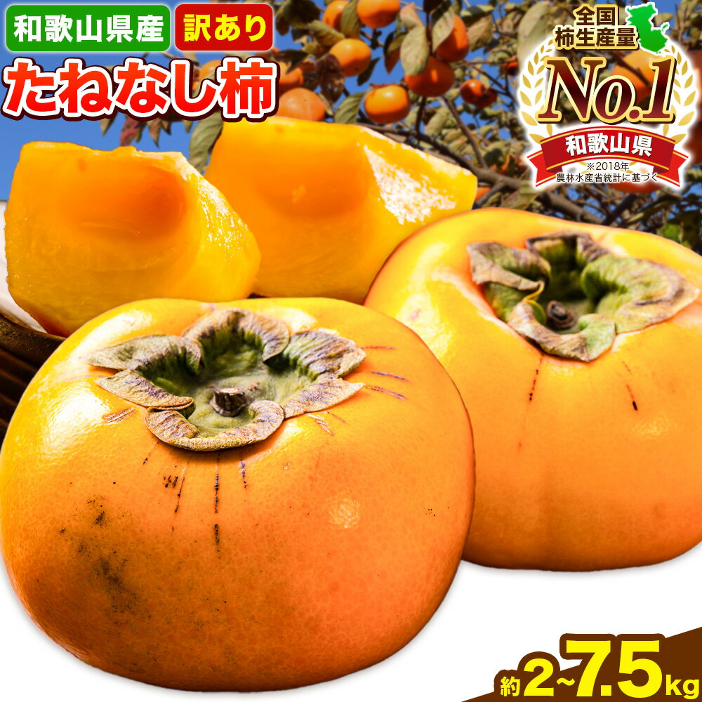 【ふるさと納税】和歌山県産 訳あり たねなし柿（刀根早生柿・平核無柿）選べる 約2kg 約4kg 約7.5kg 《2026年9月中旬-11月上旬頃出荷(土日祝除く)》 和歌山県 岩出市 訳あり ご家庭用 種なし柿 柿 果物 フルーツ カキ