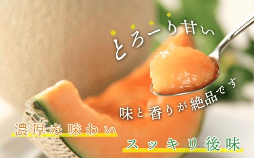 ☆先行予約☆3075.摩周メロン秀品２玉入り（1玉1.5kg以上）メロン　8月上旬より順次発送