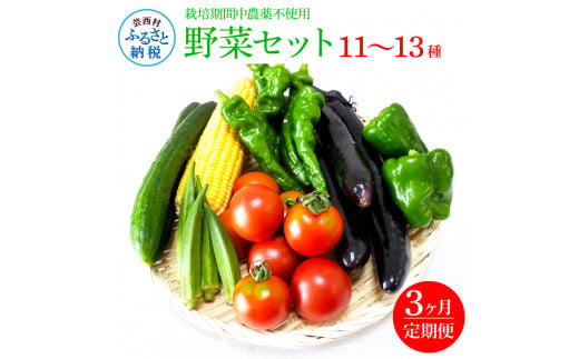 【CF-R5frp】 《3カ月定期便》栽培期間中農薬不使用！ 野菜セット（11‐13種類）