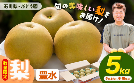 【先行予約・数量限定】梨 約5kg 豊水 石川梨・ぶどう園《9月上旬-9月中旬頃出荷》茨城県 結城市 梨 ナシ なし 果物 フルーツ 豊水 ほうすい【配送不可地域あり】（離島）