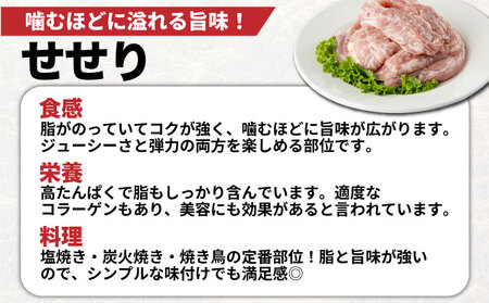 若鶏小肉(せせり) 3kgセット【TRT11】