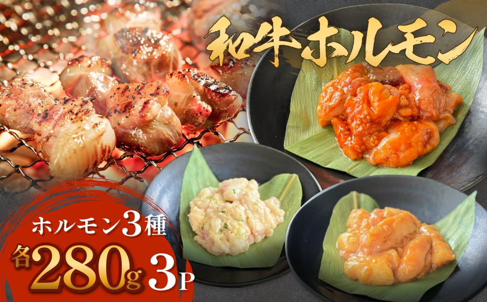 和牛ホルモン3種 各280g×3P 牛ホルモン 味噌ホルモン 塩ホルモン ミックスホルモン 味噌 塩 ミックス 小腸 国産 宮城県産 味付 モツ 和牛 肉 お肉 牛肉 牛 内臓 宮城県 石巻市