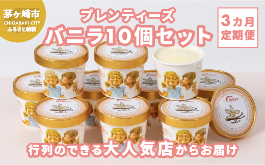 【3か月定期便】湘南茅ヶ崎の人気店 プレンティーズのアイス（バニラ10個） お菓子 スイーツ ひんやり デザート 夏 おしゃれ かわいい バニラアイス 