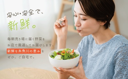 直売所からお届け！旬の野菜セット（8～10品詰め合わせ）JA 新鮮な野菜直送便 糸魚川 新潟 【大根･白菜･春菊･アスパラ菜･しいたけ･ほうれん草･ふきのとう･タラの芽･山菜･にんじん･イチゴ･トマト