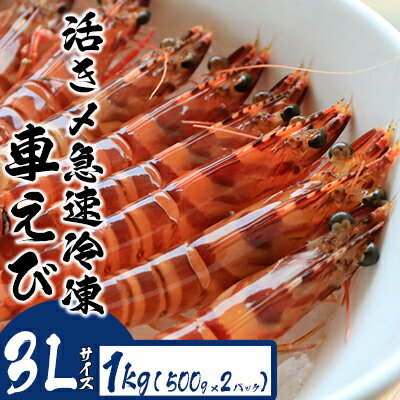 【ふるさと納税】活き〆急速冷凍車えび【3Lサイズ】　1kg（500g×2パック） お刺身 塩焼き 天ぷら フライ 急速冷凍 エビ 鮮度 おせち 養殖 瞬間冷凍 甲殻類 海産物 うまみ 送料無料 海鮮 くるまえび 海老