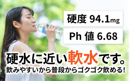 【定期便】 【6ヶ月連続お届け】 但馬の天然水 550mlペットx24本（1ケース） / 天然水
