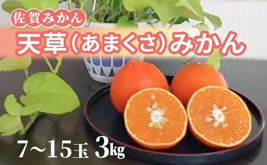 
                  天草（あまくさ）みかん 7～15玉　3kg（化粧箱入り） _c-142
                