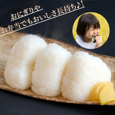 ふるさと納税 小松市 【先行予約】 令和8年産 小松市産 こしひかり 精米 5kg |  | 03