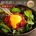 【ふるさと納税】【数量限定】鮮馬刺し 赤身ユッケ 約50g×10個セット 合計 約500g セット 馬肉 馬刺し 馬刺 熊本馬刺し 赤身 馬刺しのたれ付き 真空パック ヘルシー 冷凍 送料無料