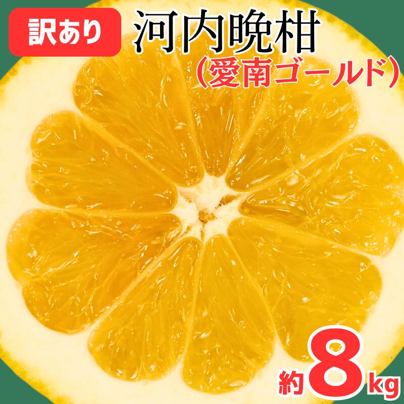 【ふるさと納税】 訳あり 愛南ゴールド ( 河内晩柑 ) 8kg みかん 蜜柑 河内晩柑 和製 グレープフルーツ 傷 不揃い 規格外 常温 愛媛県 愛南町 愛なんよ