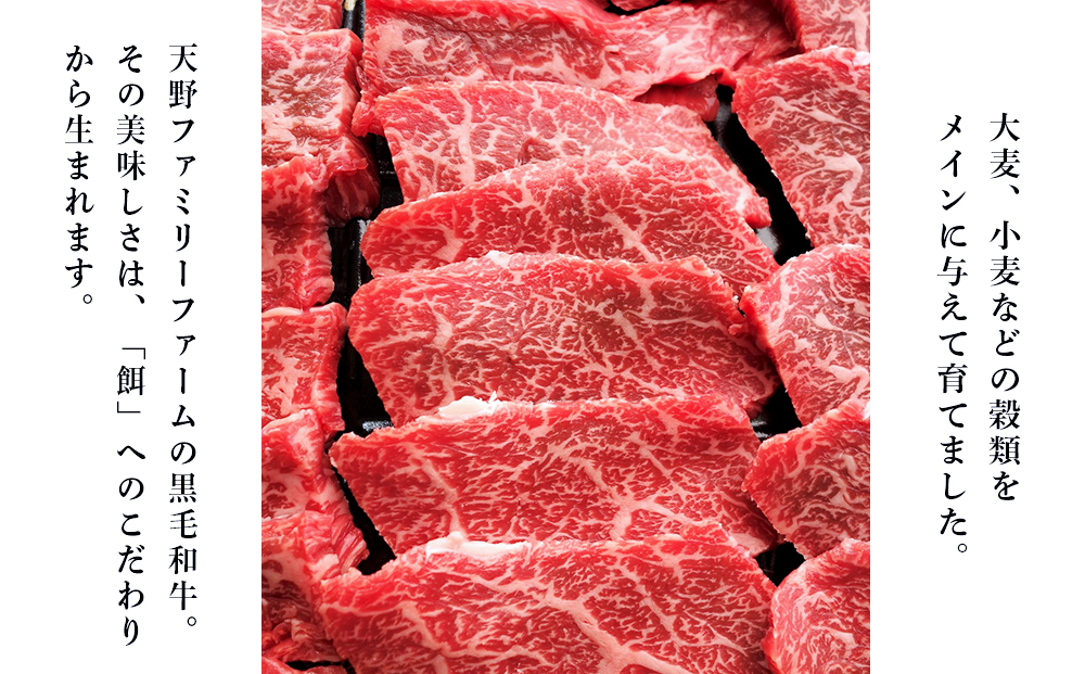【定期便 6カ月】 北海道 白老産 黒毛和牛 特上 モモ 焼肉 500ｇ (2・3人前) BS045_イメージ3