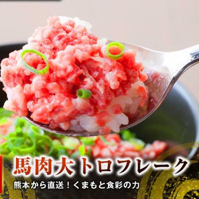 ふるさと納税 高森町 【国産馬刺し】熊本直送　大トロフレーク300g(高森町)