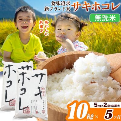 ふるさと納税 大仙市 米《5ヶ月》サキホコレ【無洗米】令和7年産 10kg|22_ssn-051005m